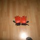 Protecktor Handschuhe