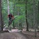 IMG 1126