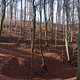 Binenbachtal1a
