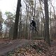 IMG 1487