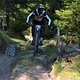 IMG 4253