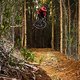 chasing-trail-ep31-13-1200x800-2020-bike-SCOTT-Sports