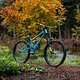 Starling Cycles Sturn V2 Downhill Bike-041