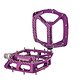 F22 Pair Purple