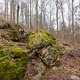 20230319-06L Wesenitzrunde
