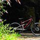 Starling Cycles Mega Murmur Web Size-103
