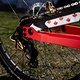 MTBNews