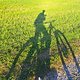 Pionierweg mit viel Laub und Herbstsonne