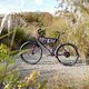 L1000047 (MTB-News)