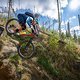 Nichts verrät den Harz mehr als der Wald