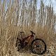 First Ride