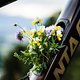 Lake-Bike-8398