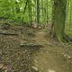 Gratis Wurzeltrail 2.0