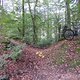SDC18584 kl