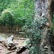 DSCF3736