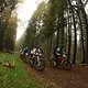 AlbgoldTrophy 2014