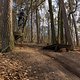 20160326-IMG 4574