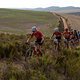 The lead pro women during stage 2 of the 2019 Absa Cape Epic Mountain Bike stage race from Hermanus High School in Hermanus to Oak Valley Estate in Elgin, South Africa on the 19th March 2019

Photo by Dwayne Senior/Cape Epic

PLEASE ENSURE THE AP