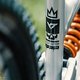 YT Industries Capra 29 LTD-8