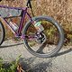 L1000025 (MTB-News)