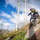 20240915-06 Harz