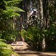 Aggressiver Style von Roger Vieira