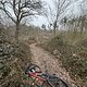 Sonntagsrunde