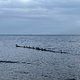 29.01.2025 Usedom Ahlbeck - Bansin