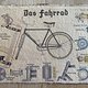 IMG 2856