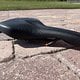 IMG 7058