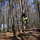 Bike Beerfelden P 278
