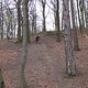 IMG 0514