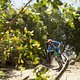 13 February 2015 - during Day 2 of the 2015 Andes Pacifico Enduro stage race near Santiago, Chile. Photo by Gary Perkin