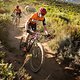Anna van der Breggen and Annika Langvad from team Investec-Songo-Specialized during the final stage (stage 7) of the 2019 Absa Cape Epic Mountain Bike stage race from the University of Stellenbosch Sports Fields in Stellenbosch to Val de Vie Estate i