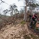 trail-bike-intro-3465