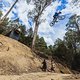 Matt Jones participates at Red Bull Hardline in Maydena Bike Park, Australia on February 20th, 2024. // Dan Griffiths / Red Bull Content Pool // SI202402210609 // Usage for editorial use only //