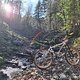 Morning Ride