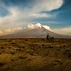 JamesStokoePhoto HUNT5546-Pano