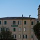 Hotel Florenz - immer eine gute Wahl in Finale Ligure