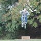 IMG 0066