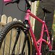 IMG 1986