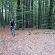 IMG 4582