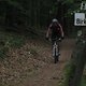 IMG 6615