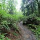 CIMG0280