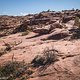Slalom-Gekurve in Felsen - so sind die Abfahrten rund um Moab