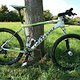 Cannondale F26 1 2