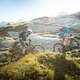 Von Tour bis Enduro, unter den 4 neuen Votec Bikes soll sich das passende finden