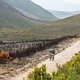 Sebastian Stark and Laura Stark during stage 2 of the 2019 Absa Cape Epic Mountain Bike stage race from Hermanus High School in Hermanus to Oak Valley Estate in Elgin, South Africa on the 19th March 2019

Photo by Sam Clark/Cape Epic

PLEASE ENSU