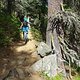 DSC05227-ck