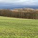 IMG 4058
